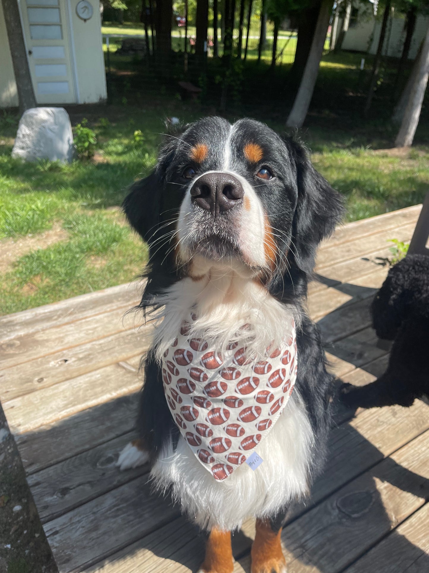 Football Bandana NO PATCH