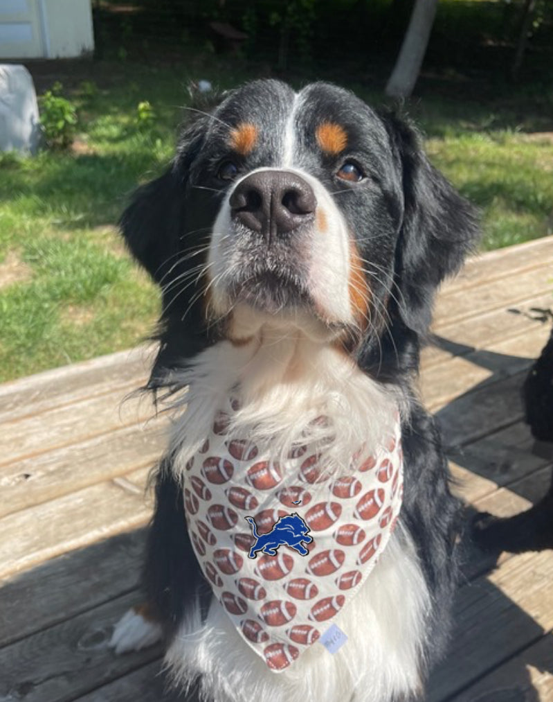 Football Bandana - Detroit Lions