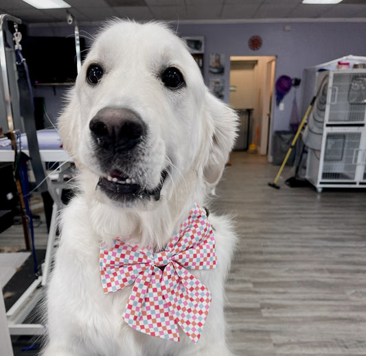 Checkerboard Chic Bow